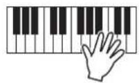 YAMAHA MO6 - Jouez une ou plusieurs notes au clavier pour lancer la reproduction de I'arpege. - 1