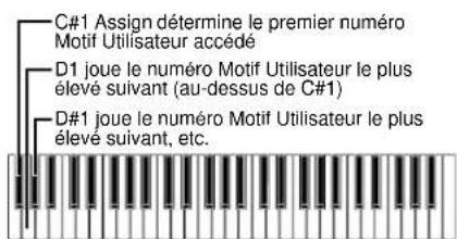 YAMAHA AN1X - - Type/no (type/número) - 2