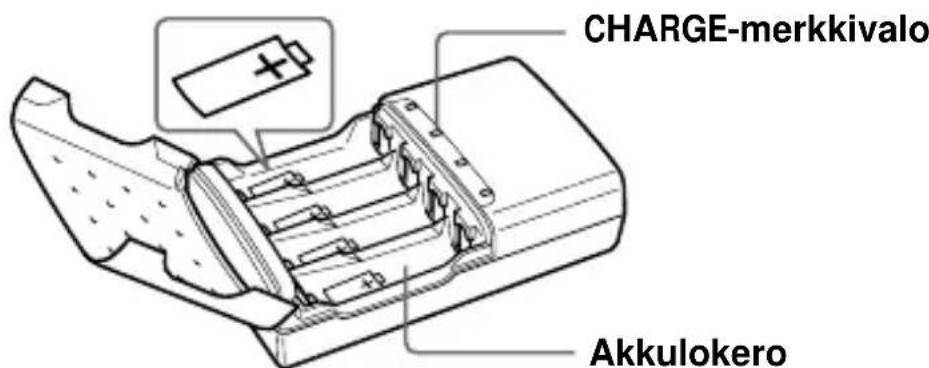 SONY ACCUNQ - Osien tunnistaminen - 1