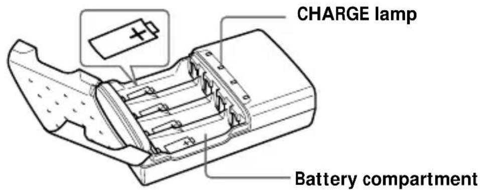 SONY ACCUNQ - Identifying the parts - 1