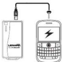 Lenmar PowerPort Wave 2400 - Connexion du PowerPort Wave2400 à un dispositif - 1