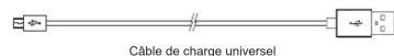 CasePower A50 - Mode d'emploi - 4
