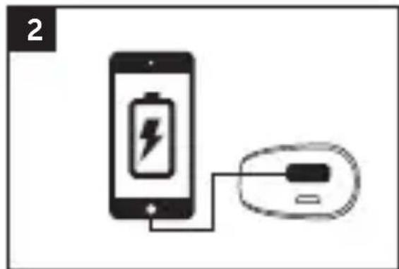 FRESH N REBEL 1PB100WH - 2