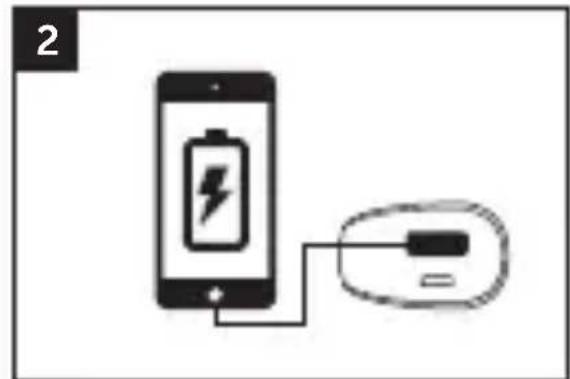 FRESH N REBEL 1PB100WH - 2