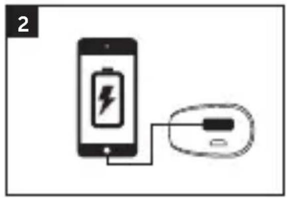 FRESH N REBEL 1PB100WH - 2