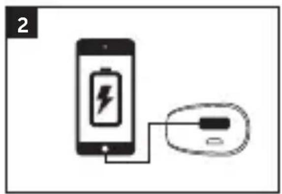 FRESH N REBEL 1PB100BL - Productspecifications - 10