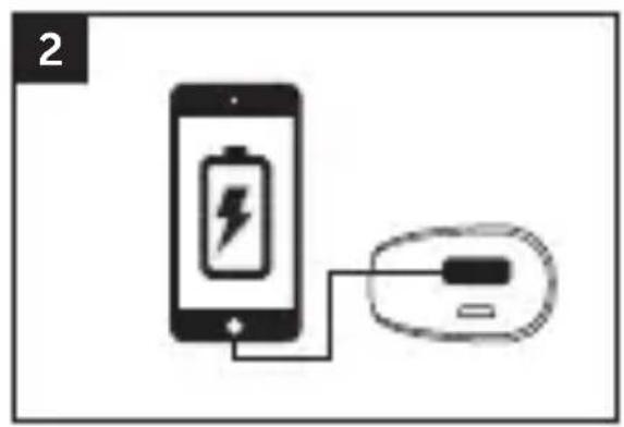 FRESH N REBEL 1PB100BL - POWER UP! - 2