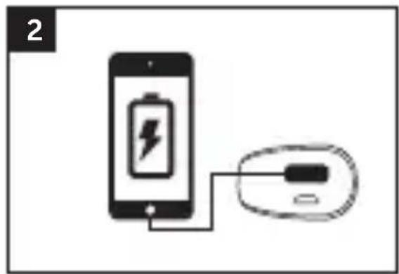 FRESH N REBEL 1PB100BL - POWER UP! - 1