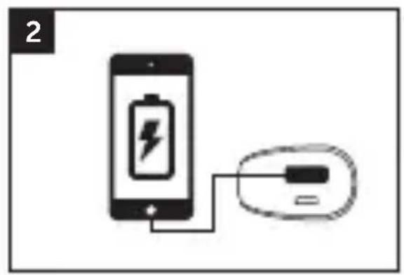 FRESH N REBEL 1PB100BL - 1 Amp USB port - 1