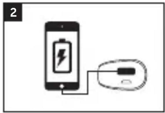 FRESH N REBEL 1PB100BL - Productspecifications - 4