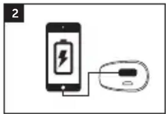 FRESH N REBEL 2PB100PT - 2