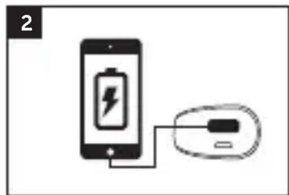 FRESH N REBEL 2PB100PT - 2
