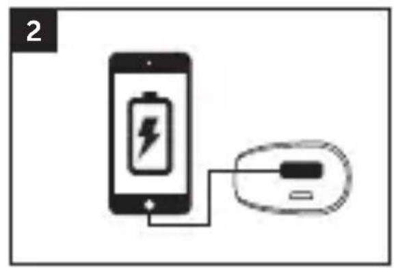 FRESH N REBEL 2PB100PT - 2