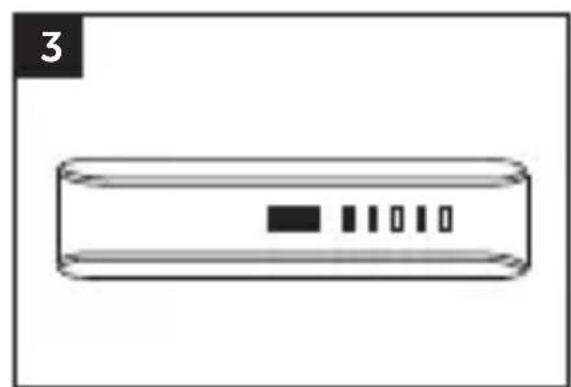 FRESH N REBEL 2PB100PT - 3