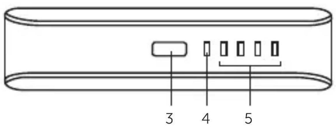 FRESH N REBEL 2PB100PT - 6