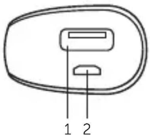 FRESH N REBEL 2PB100WB - 5