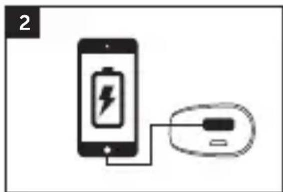 FRESH N REBEL 2PB100WB - 2