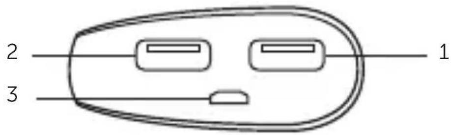 FRESH N REBEL 2PB200PT - 5