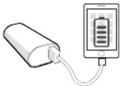 APC M3TM - 3apraKa yctpoiCtB USB (cMapTfoHOB, nOpTaTnBhbIX MednapaneepoB n PnaHseTOB) - 1