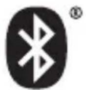 BRAVEN BRVBank - 1