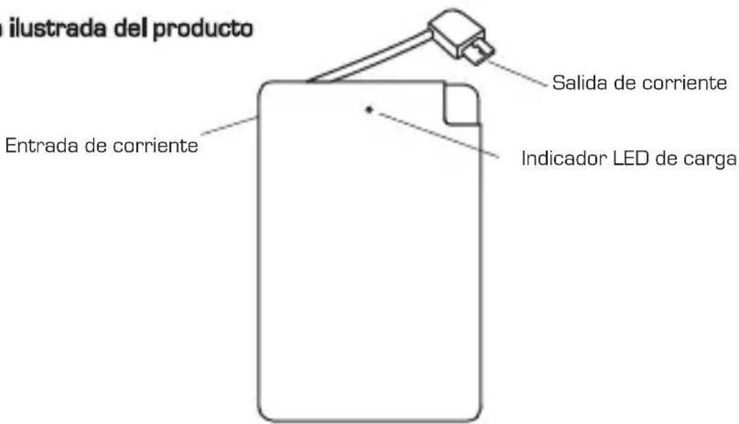 Neoxeo X370H37037 - Descripción ilustrada del producto - 1