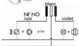 Sanibroyeur Sanicondens Clim pack - D - Connexions électriques - 1