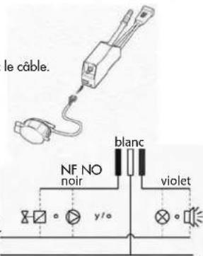 Sanibroyeur Sanicondens Clim mini - D - Connexions electriques - 1