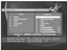 SAMSUNG DSR 9401 FTA - Delete channel - 4