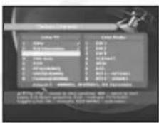 SAMSUNG DSR 9401 FTA - Delete channel - 1