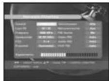 SAMSUNG DSR 9401 FTA - Manuelles Abtastung - 2