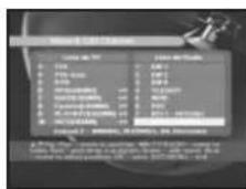 SAMSUNG DSR 9401 FTA - Disposición de canales - 9