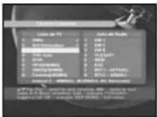 SAMSUNG DSR 9401 FTA - Disposición de canales - 4