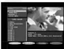 SAMSUNG DSR 9401 FTA - Servizio risponditore - 4