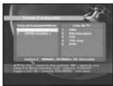 SAMSUNG DSR 9401 FTA - Disposición de canales - 3
