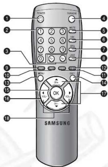 SAMSUNG DSR 9401 FTA - Telecomando - 1