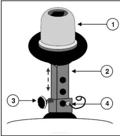Vermeiren Carpo 3 Limited - Réglage en hauteur (illustration D) - 1