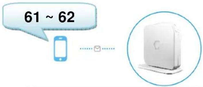 61 ~ 62