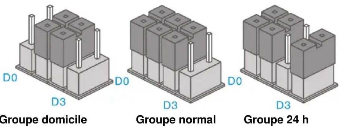 D0 D3 Groupe domicile D0 D3 Groupe normal D0 D3 Groupe 24 h