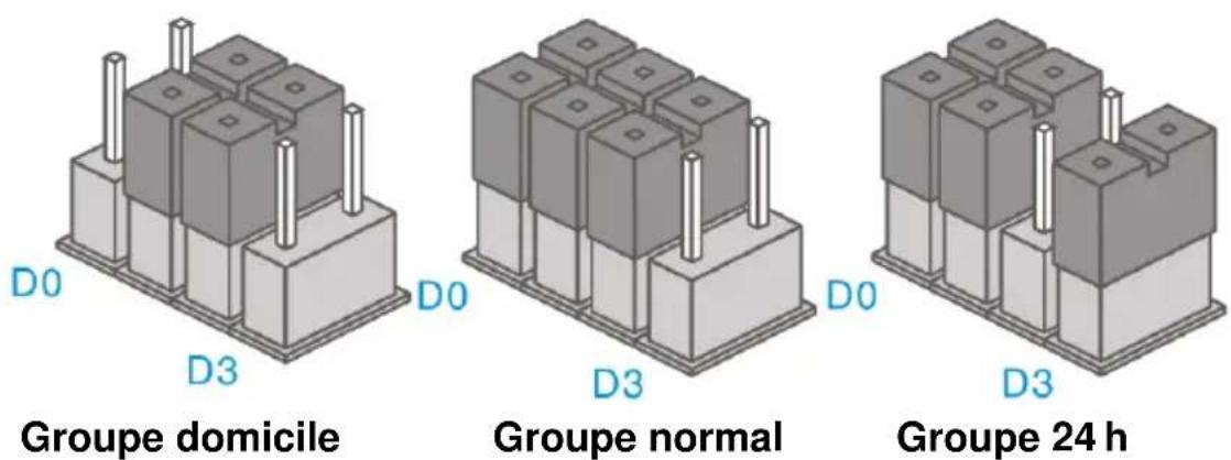 Eminent EM8605 - Paramètres des groupes (cavaliers) - 1