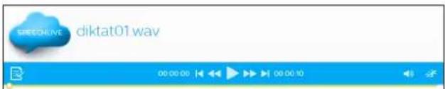 PHILIPS Speechlive PCL1110 - SpeechLive Portal - 3