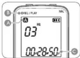 PHILIPS Digital Voice Tracer LFH 870 - Riproduzione6 - 2