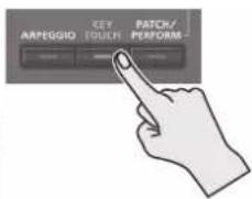 ARPEGSIO KEY TOUCH PATCH/ PERFORM