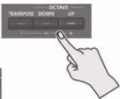 OCTAVE TRANSPOSE DOWN UP