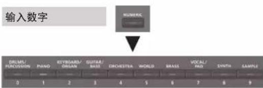 输入数字 DRUM/PEKUSION PANO 0 1 2 3 4 5 6 7 8 9 REVOCARD/CHIKAN GUTAR/BAS ORCHESTRA WORLD BRASS VOCAL/PAD SYNTH SAMPLE