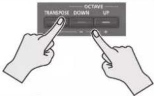 ROLAND JUNODS61 - 按住 [TRANSPOSE] 键不放再按下 OCTAVE [DOWN] 或 [UP] 键。 - 1
