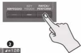 ARPEGGIO KEY TOUCH PATCH/ PERFORM 2 120