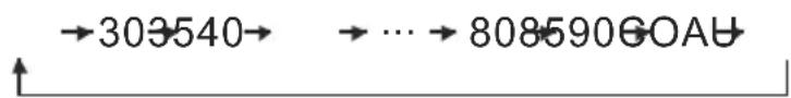 Soler & Palau DHUM20 E - ERSTMALIGE INBETRIEBNAHME - 1