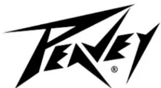 PEAVEY Tour Series TNT Combo - Exclusions of Damages - 1