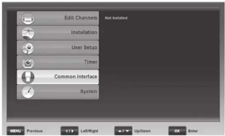 SILVERCREST SSR 1080 B2 - Common Interface - 1