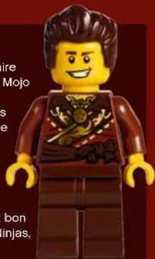 LEGO Temple of Airjitzu - DARETH - 2